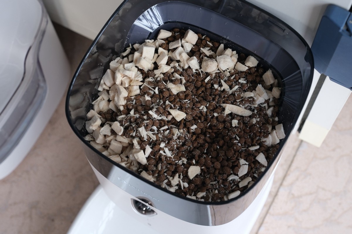 远程视频,科学投喂,宠咕咕宠物智能喂食器初体验