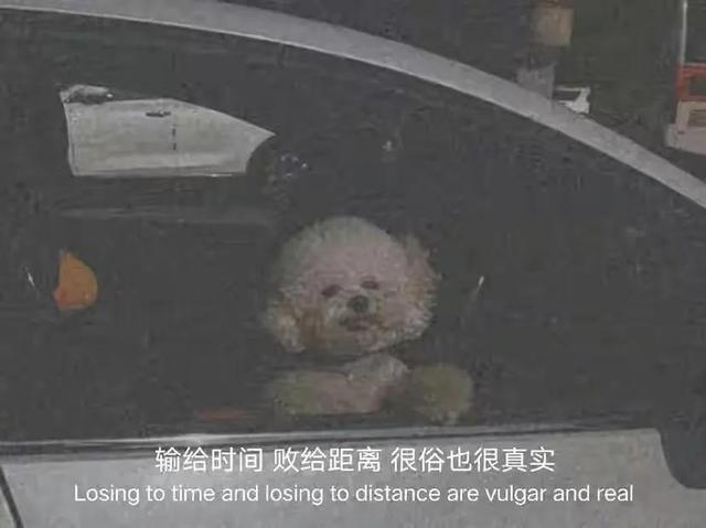 朋友圈情感文案图｜别出现在我梦里，我负担不起醒来后的落空