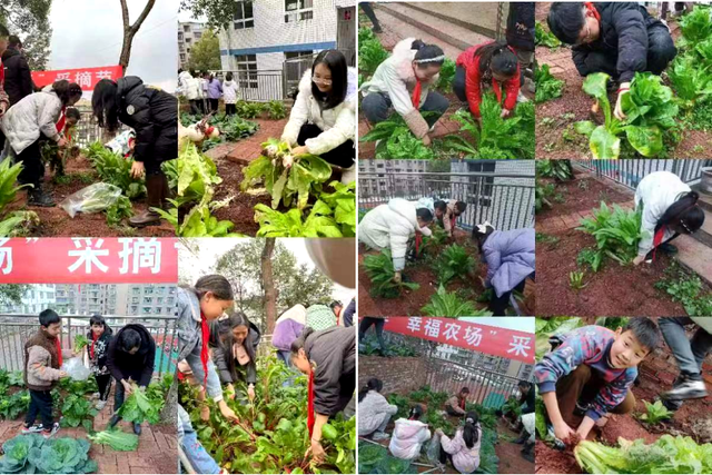 四川省民生研究会新媒体中心-官网