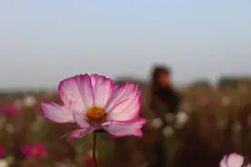 写给14岁女儿的一封信：此时不立志，更待何时图片
