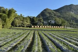 罗甸县春夏有啥新玩法？“村钓”“村宴”“村集”……图片