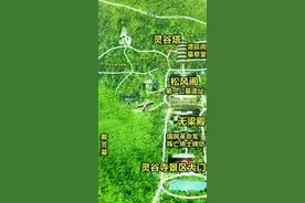 钟山戴笠墓遗迹图片