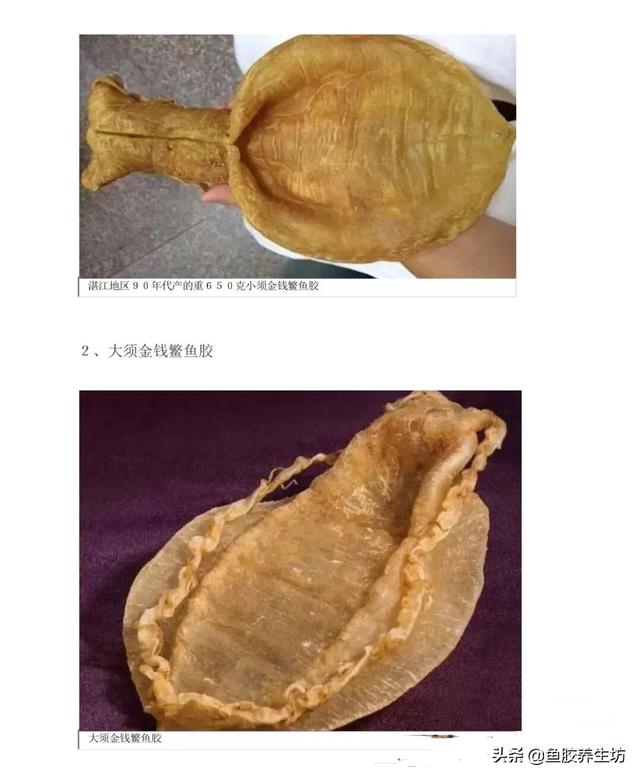 水晶花胶液有毒吗 2026年水晶花胶液有毒吗能吃吗 水晶花胶液有毒吗 2026年水晶花胶液有毒吗能吃吗