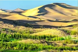 曾经寸草不生，荒芜了数百年的毛乌素沙漠，如今正在急速消失图片