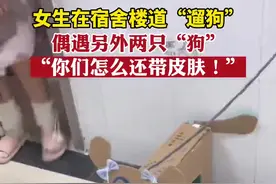 女生在宿舍楼道“遛狗”偶遇另外两只“狗”图片