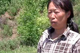 蛇真的养得熟？刘玉平只是个例，泰国“蛇王”才是标准结局图片