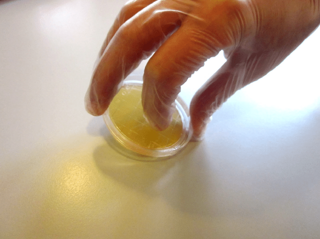 鸡皮肤怎么去除甲醛方法