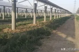河北耕地被强行铲平，有人受伤！遇到这种情况，村民应该怎么办？图片