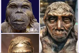 聊一聊中国境内的早期人类（元谋人、北京人、山顶洞人）图片