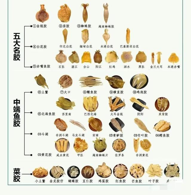 40头黄花胶多少钱一斤 2025年45头黄花胶一斤有多少