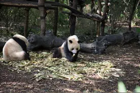 全世界60个国家的珍稀国宝图片