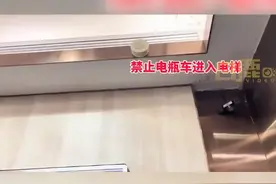 人工智障？柯基进电梯被当电动车报警停运：罩住狗头后警报解除图片