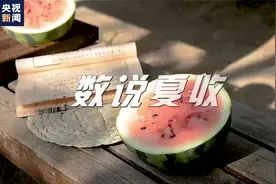 数说夏收丨摘西瓜啦！夏日的快乐如期而至图片