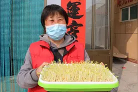 大姐自制发豆芽“神器”开水一烫1天发芽，吃得放心，不会我来教图片