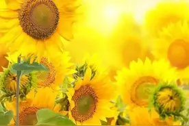 看一个人的眼睛，就能知道他的人品和运气如何图片