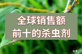 全球销售额前十的杀虫剂图片