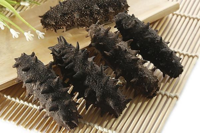 在什么地方能买到正宗的海参 2026年哪里可以买到正宗的海参