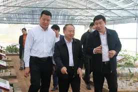 茂南区、电白区两地代表团到金秀瑶族自治县对接粤桂协作工作图片