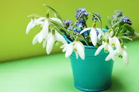 缘分天注定，情人不强求图片