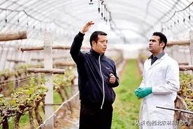 【当代陕西】中国现代农业的“支点”——杨凌对于农业现代化示范功能的调查图片