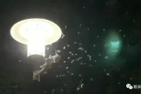 白蚁分飞季，防治很重要图片