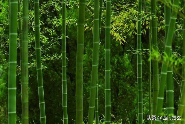 浅谈各类网络小说的写作技巧(一)