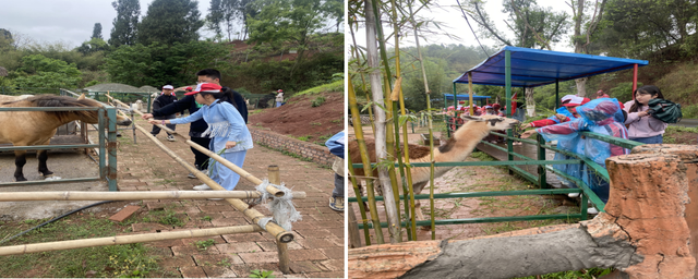 四川省民生研究会新媒体中心-官网