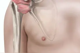 太重要！很多人都不知道，第二肩关节是什么？图片