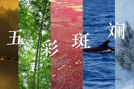 她是五彩斑斓的色彩天堂图片