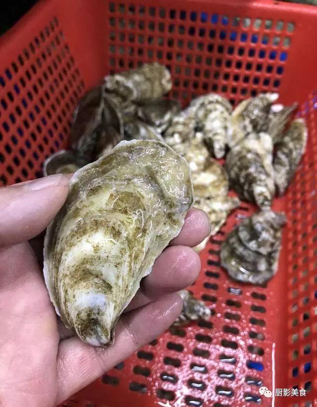 40头的花胶是几级 2025年花胶40头是什么意思?