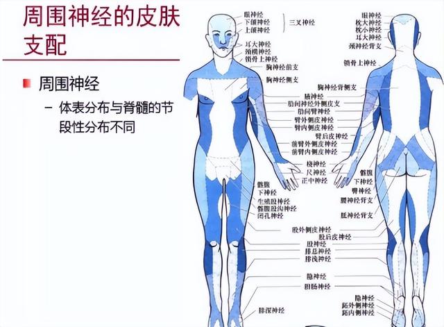 鐢查挻鑳虹敤鑽?澶х蹇岃娉ㄦ剰锛佺鐢ㄤ汉缇ゅ凡鍏紑鐖嗘枡锛屾偍鏄惁鍦ㄥ叾涓紵