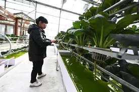 太原：“数字化”赋能 促农业发展图片