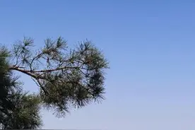 怎么会做这样的梦图片