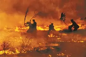 澳大利亚为什么那么恨中国：澳大利亚的前世今生图片