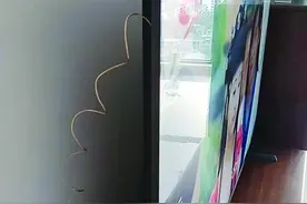 插根铁丝就能免费看电视？ 是真的，但效果并不太好图片