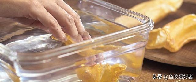 花胶泡发可以用自来水 花胶泡发用自来水行吗