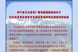 一游客在托乎拉苏景区开车碾压草场，新疆伊宁县官方通报：情况属实，已立案调查并罚款5000元图片