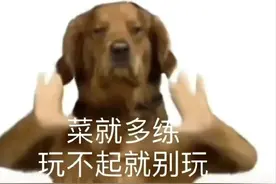 小猫小狗跳舞表情包图片