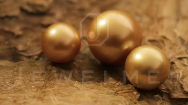 「干货」南洋金珠专题直播精彩集锦,专家教你怎么看南洋珍珠