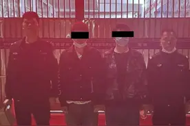 20余人报案！流窜海南多市县以“充话费返还话费”行骗，2人被抓图片