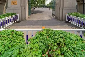 实验班尖子生培养方案和措施图片