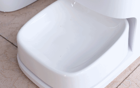 远程视频，科学投喂，宠咕咕宠物智能喂食器初体验