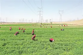 百年煤城的绿色蝶变——党的十八大以来石拐区经济社会转型发展述评图片