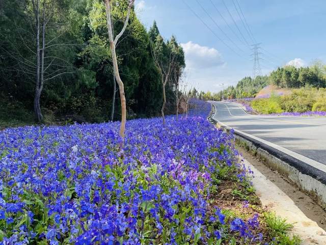 四川省民生研究会新媒体中心-官网