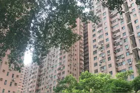 在富士康打工19年，只有20万本钱的流水线女工成了深圳房东图片