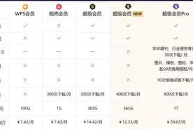 整晕人的WPS又玩新花样，新会员体系是否值得兑换图片