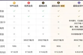 整晕人的WPS又玩新花样，新会员体系是否值得兑换图片