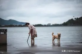 我们都被狗玩了？狗对人类如此忠诚，几次试验过后却发现了预谋性图片