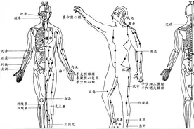 腰椎救星！揭秘中医穴位奥妙，滋养气血，舒缓突出痛楚！图片