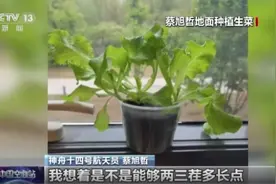 满足好奇心啦！三位航天员带了这些“私人物品”图片